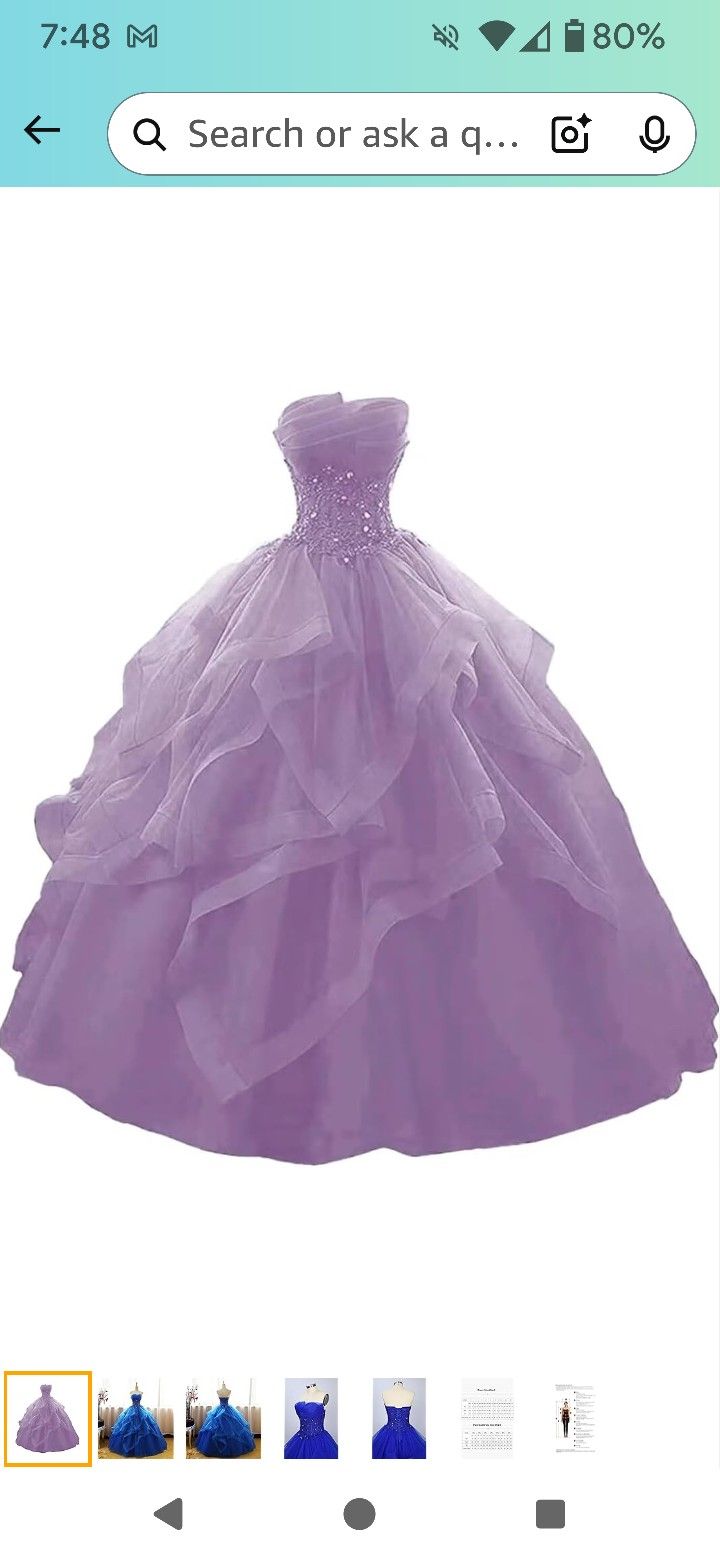 Quinceanera/ Sweet 16 Dress