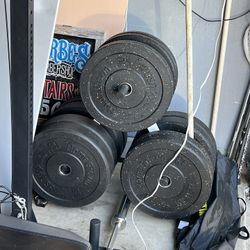 Gym Equipment (excuse The Mess)