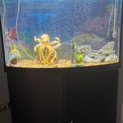 Aquarium Fish tank 
