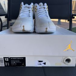 Jordan 12 OVO (size 12)