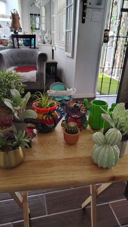 Cute Decor fair little plants and other Decors there, everything $25