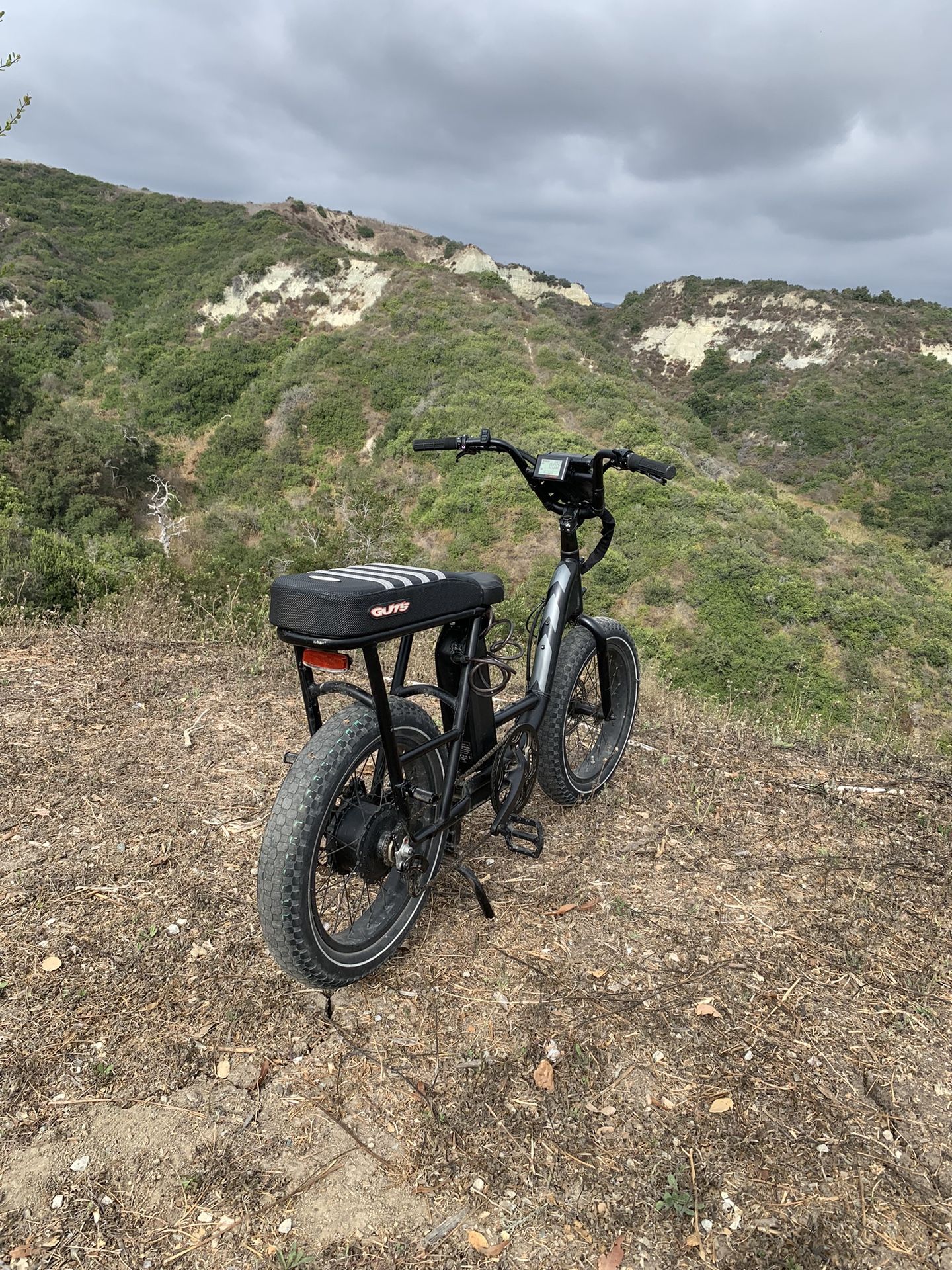 Rad Power Bike