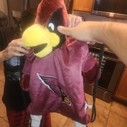 AZ CARDINALS 