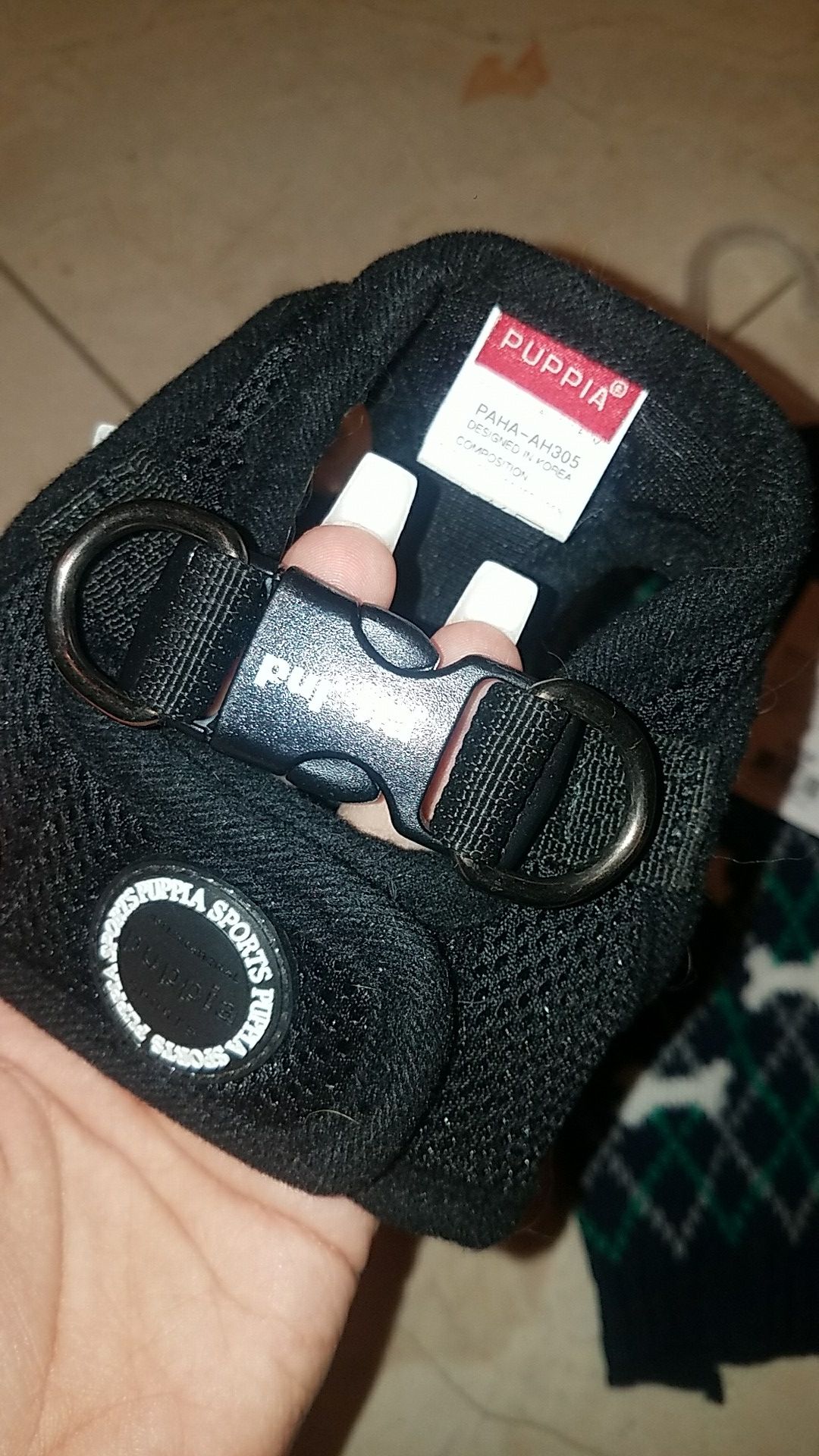 Xs dog sweaters and harness