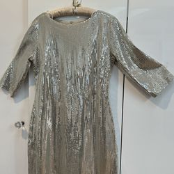 Alex B Silver Shimmer Cocktail Party Dress