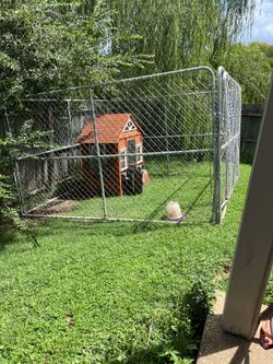 Dog Kennel 