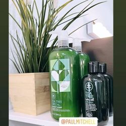 Paul Mitchell Tea Tree Special Shampoo And Conditioner
