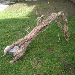 Natural Driftwood For Aquariums Terrariums Decor 