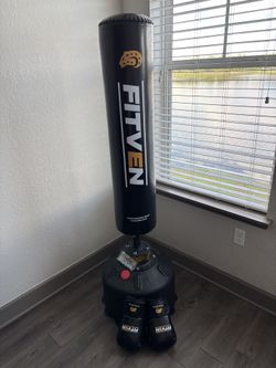 Punching Bag with Gloves