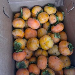Sweet Persimmons