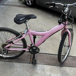 pink bike