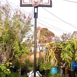 Basketball hoop for sale $120