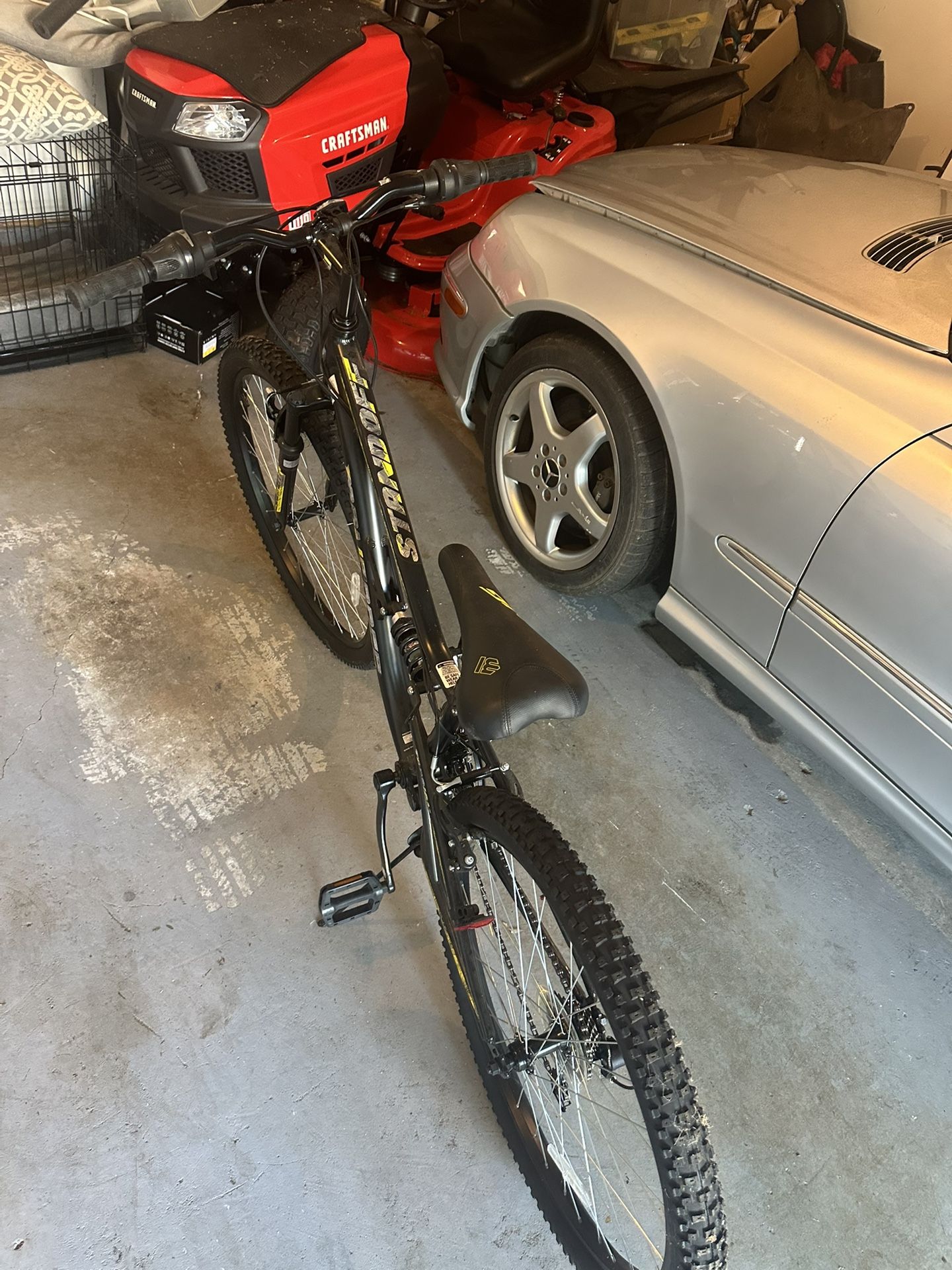 Adult Bike