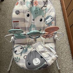 Baby Bouncer