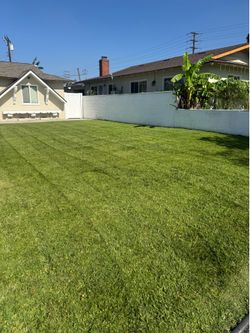 Jardinero