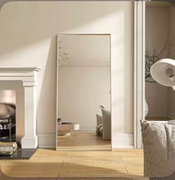 Silver full length mirror