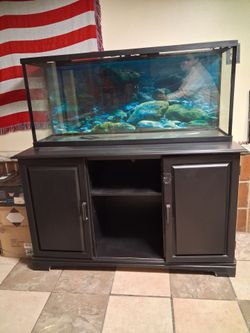 Fish tank