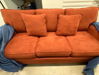 Raymour & Flanigan Sleeper Sofa (Full size bed)