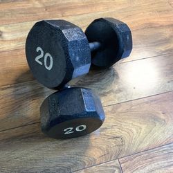Pair of 20 # lb pound exercise weights dumbbells 