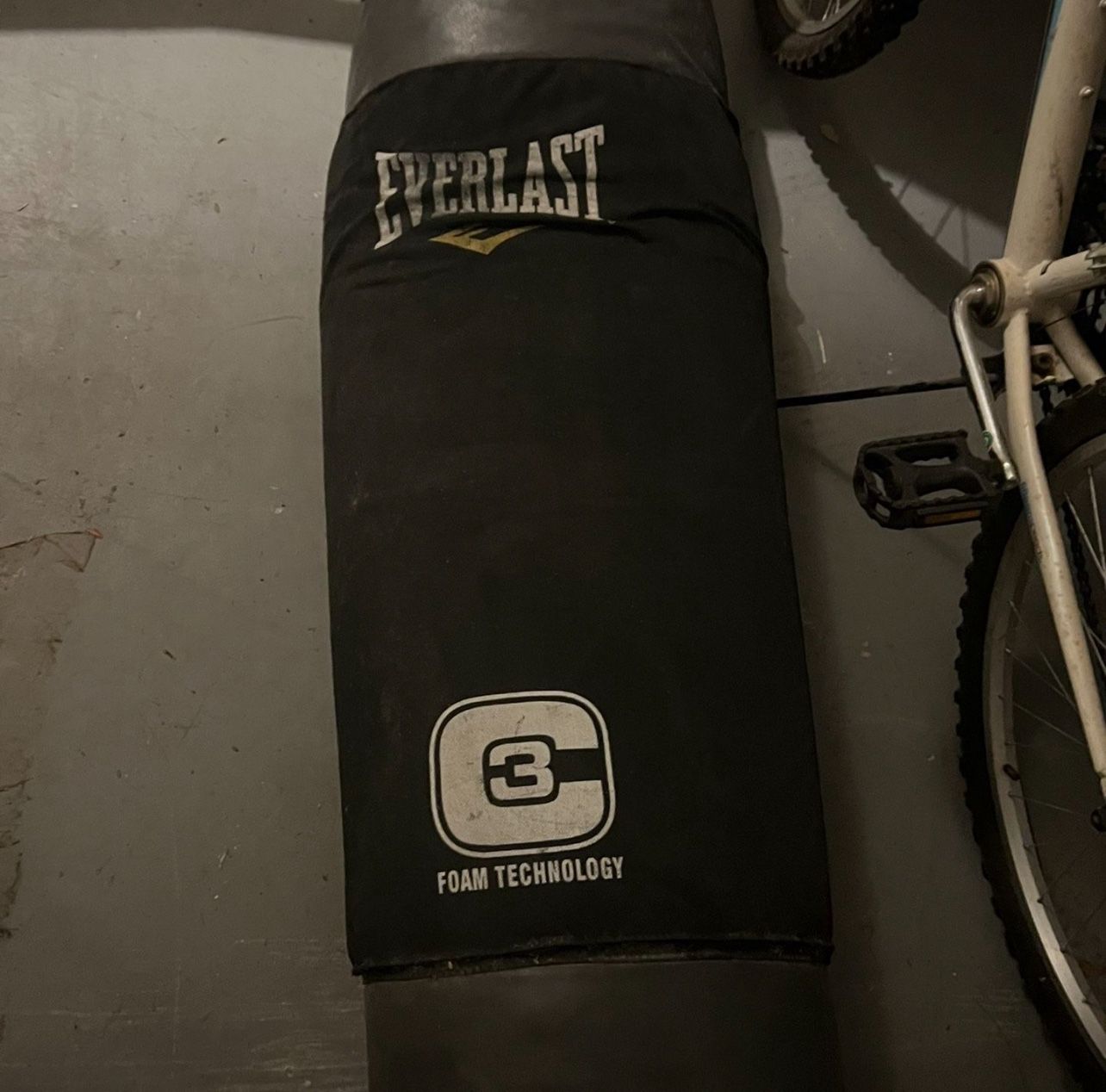 Everlast Punching Bag