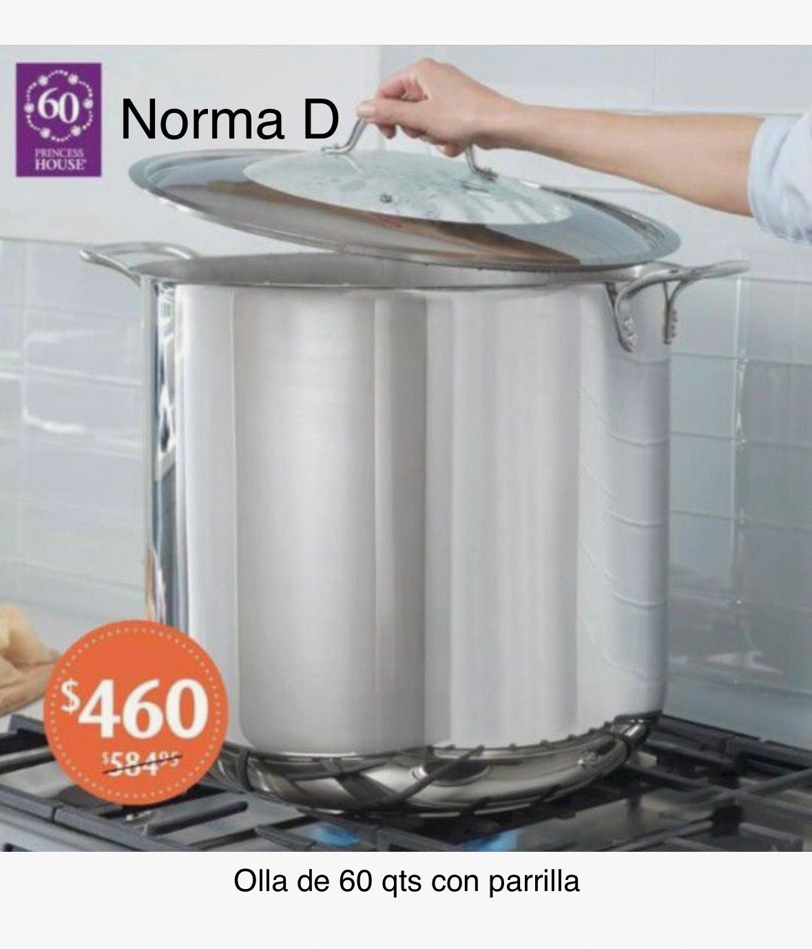 Olla De 60 Qts Con Parrilla Incluida Nueva En Su Caja 🌺 Princess House 🌺