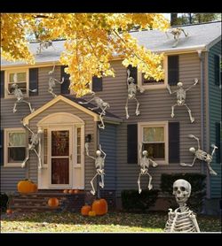 HALLOWEEN π π»Life size 5 foot π¦Ά+ poseable SKELETON π