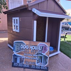 Dog House