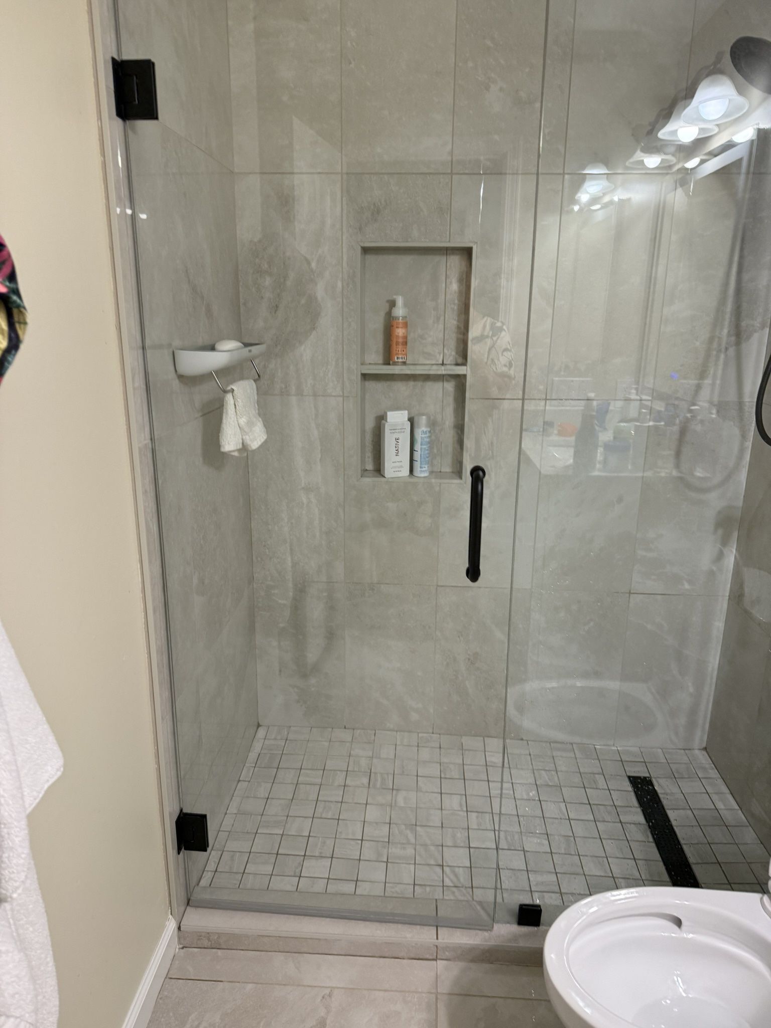 Frameless Shower Glass Door