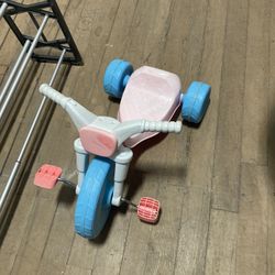 Tiny Toddler Bike