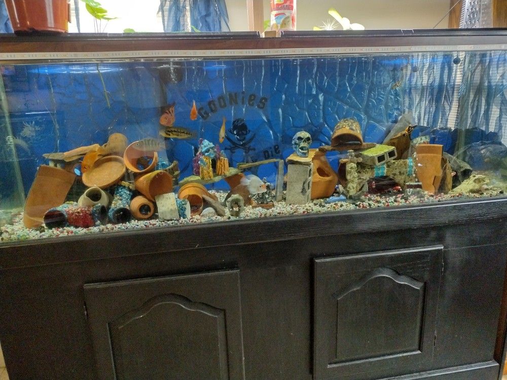 Aquarium
