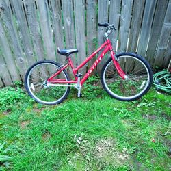 Chainless 3 Speed Cruiser