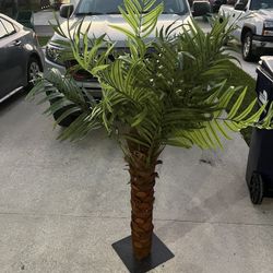 Corona Display Palm Tree 