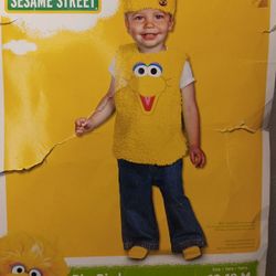 Big Bird Costume, Sesame Street Costumes, Kids Costumes, Bird Costumes