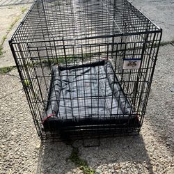 Medium dog Cage $35
