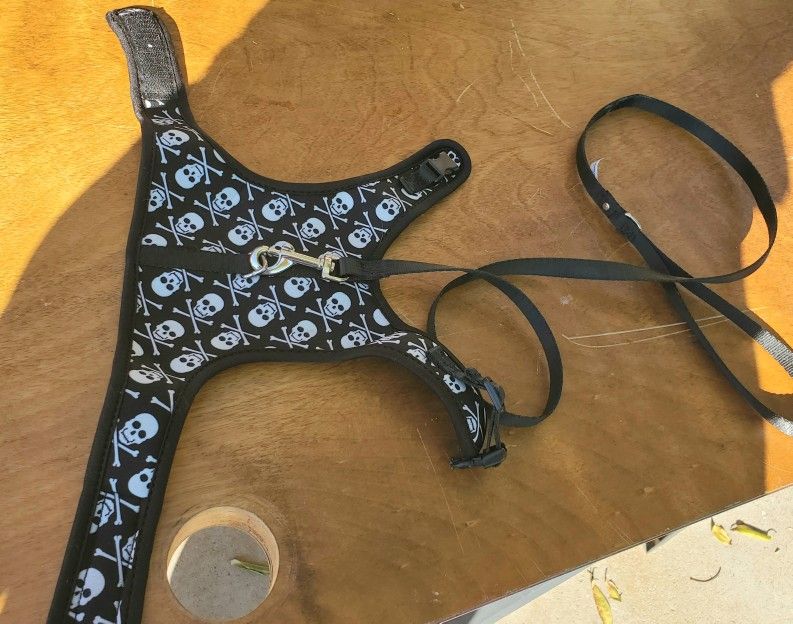 Small Dog Harness