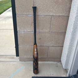  Baseball Bat