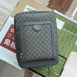 Gucci Ophidia Heritage Bag