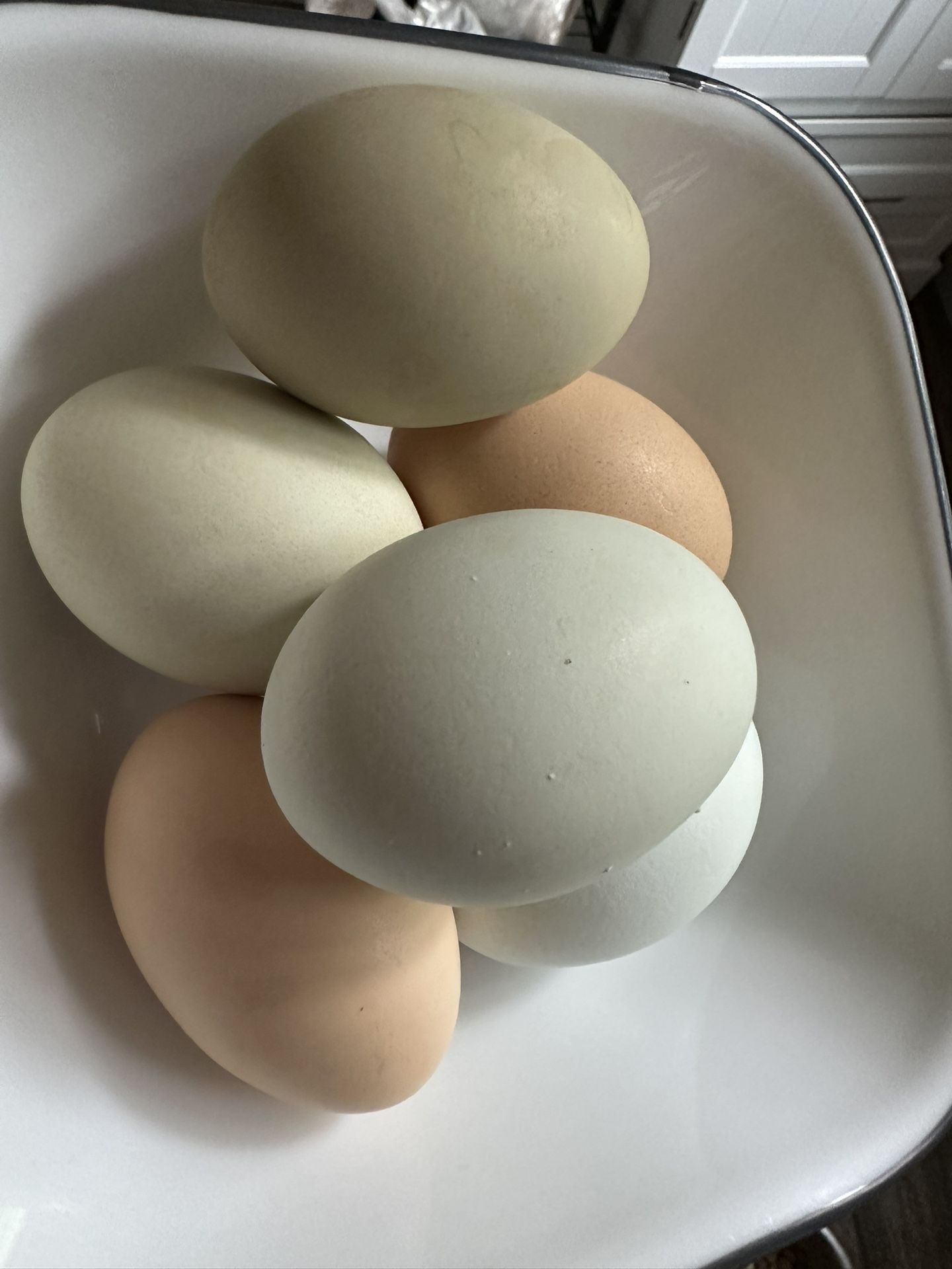 1 dz fresh eggs
