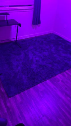 Purple Fluffy Rug 70x106in