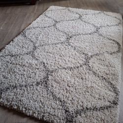 Medium Shag Area Rug 