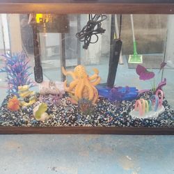 29 gallon complete setup