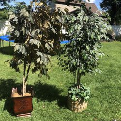 Faux Trees 