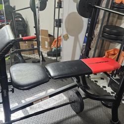 Weight Bench And Leg Raise Machine 