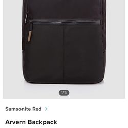 Samsonite RED Avery Laptop Backpack  