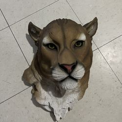 Cabeza De Un Puma para Decoración Like New $$$30