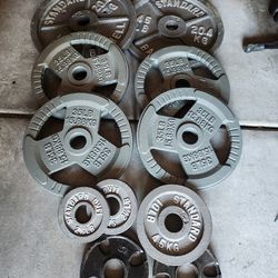 255 Lb Olympic Weight set