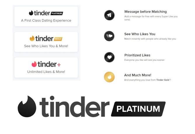 TINDER Platinum 12 MONTH SUBSCRIPTION (GLOBAL)
