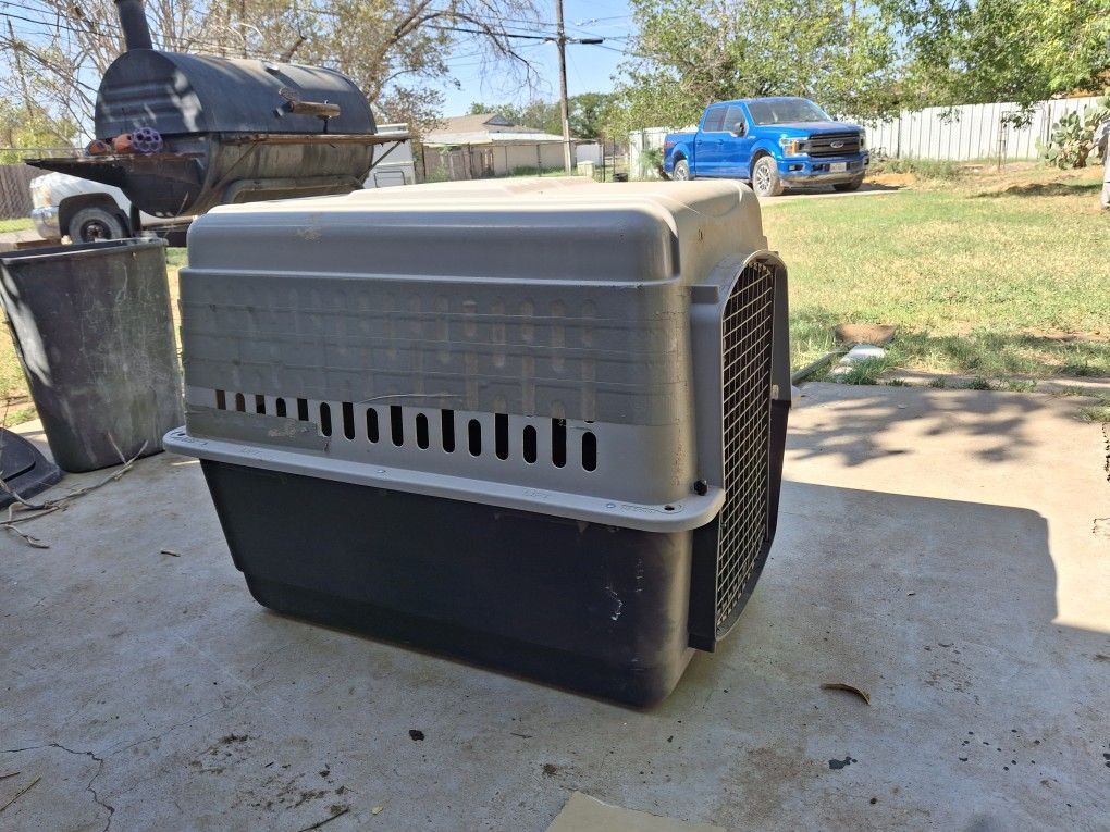 Bid Dog Kennel