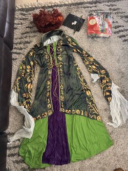 Hocus Pocus Adult Costume