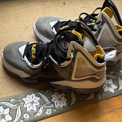 Nike LeBron 19 Hardwood Classic Size 13